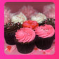 Curbside & Pick Up: Build your own 4 PACK - Cute as a Cupcake
