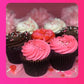 Curbside & Pick Up: Build your own HALF DOZEN - Cute as a Cupcake